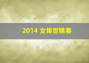 2014 女排世锦赛